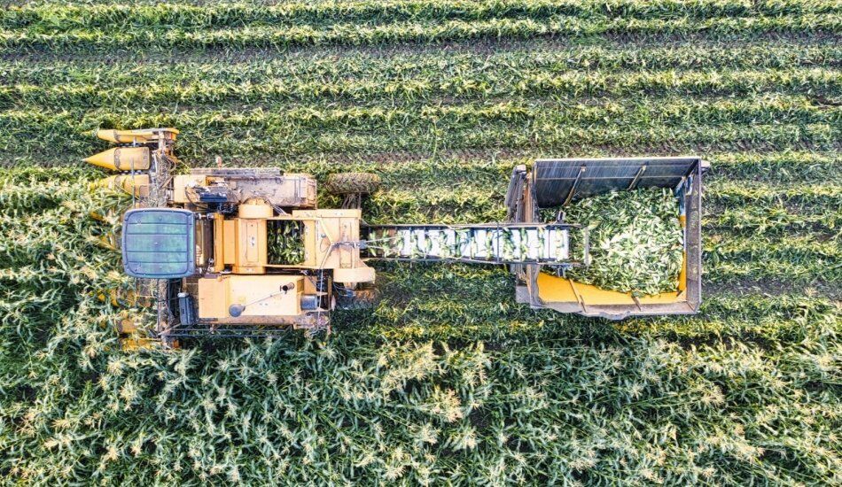 Dicas insiders e acionáveis para software de gestão de locação de equipamentos agrícolas