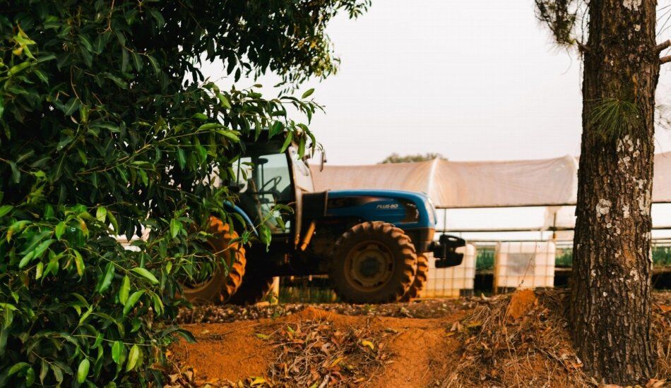 Guia passo a passo - Software de gestão para locação de equipamentos agrícolas