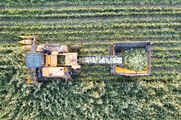 Dicas insiders e acionáveis para software de gestão de locação de equipamentos agrícolas