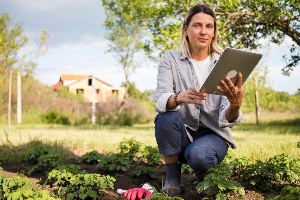 Como Escolher e Usar um Software de Gestão para Locação de Equipamentos Agrícolas